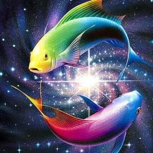 Meet your Posher, Vivian